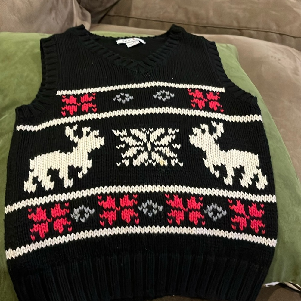 Adorable sweater vest with holiday theme